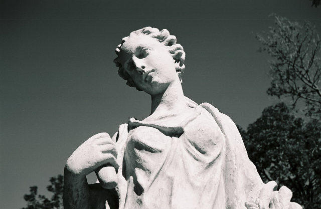 Phillips Park Statue