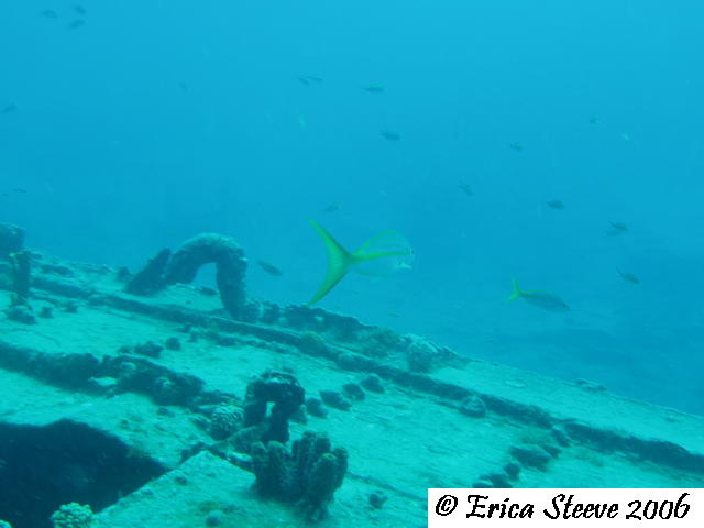Another view of the shipwreck.