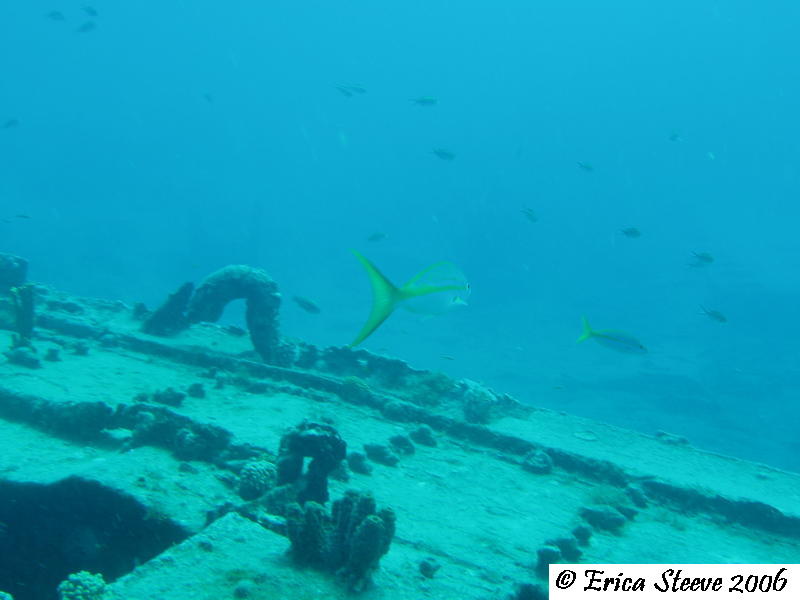 Another view of the shipwreck.