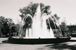 Naperville Fountain