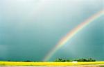 Rainbow Over Canola Field