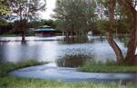 Flooded park in Brandon, MB
