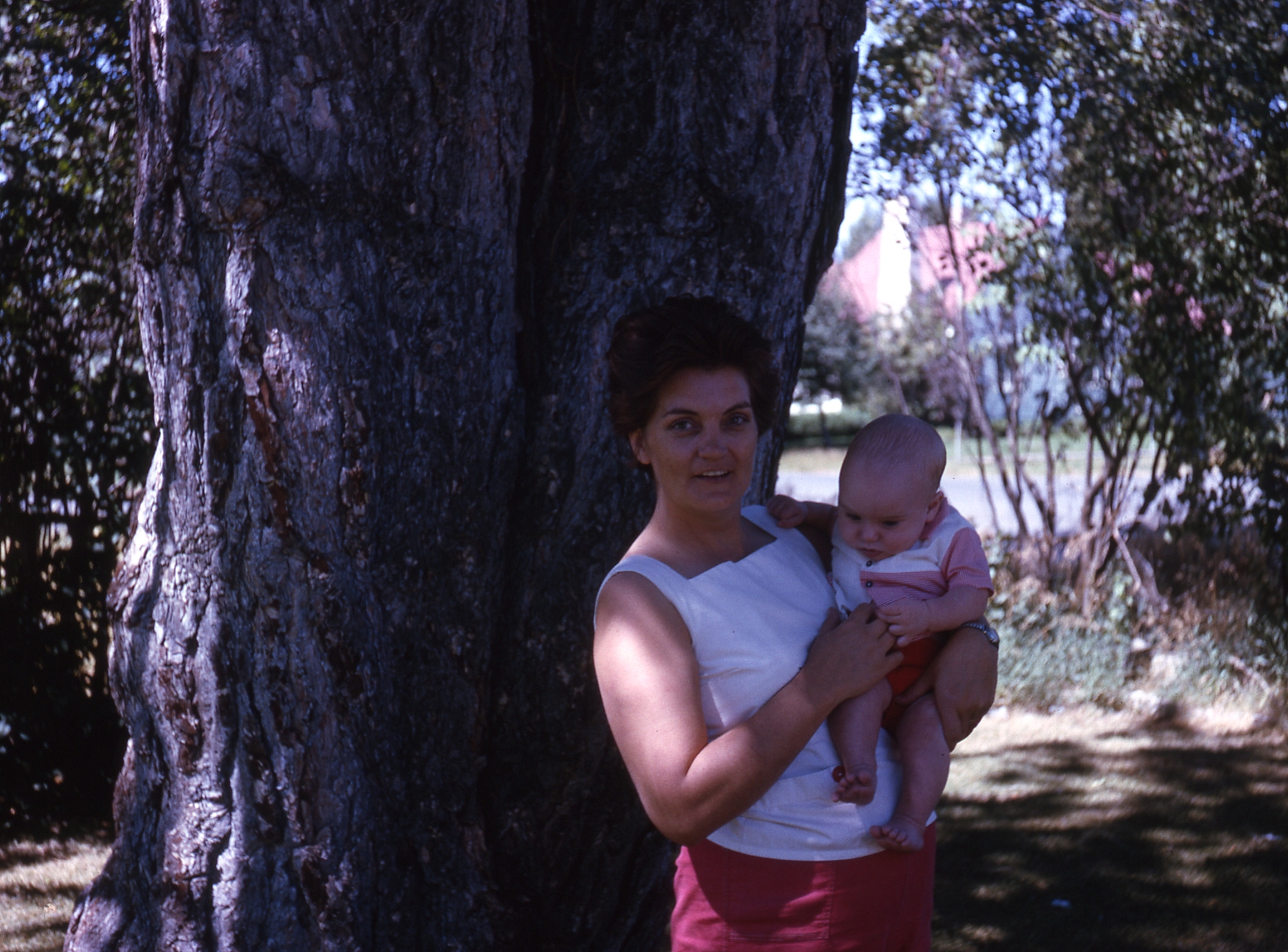 1966, 11, 04:  Mom and unknown baby