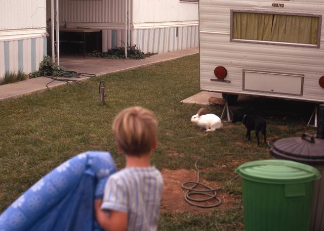 1971: Boy, rabbit, camper