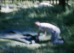 1960: man rolling up tent